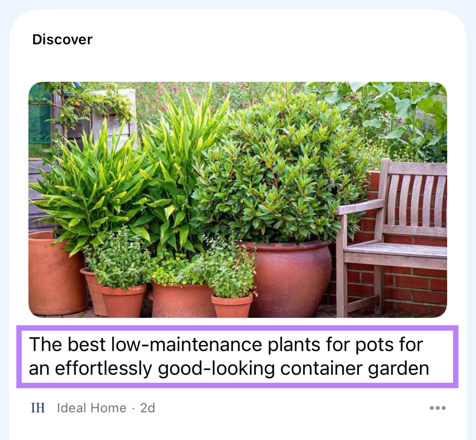 Google Discover card with Title highlighted