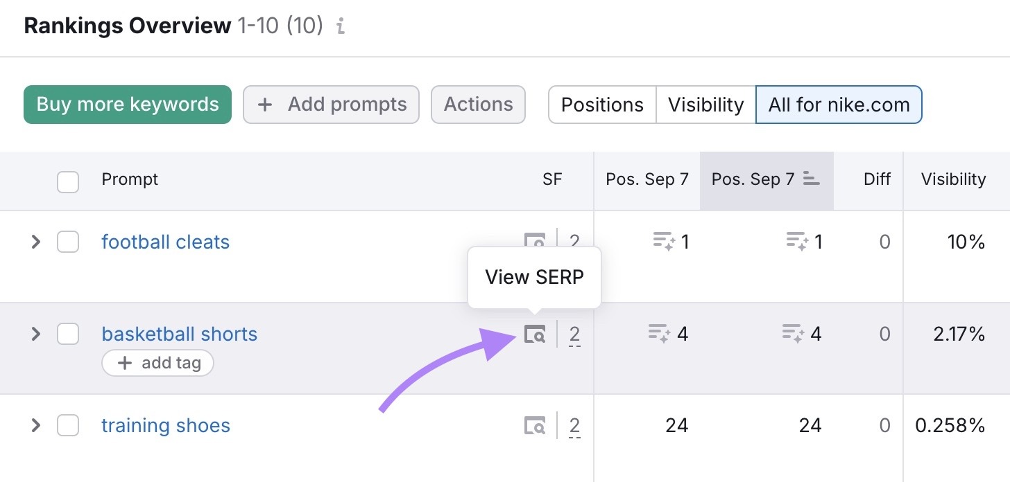 Rankings Overview report on the Position Tracking tool with the "View SERP" button clicked.
