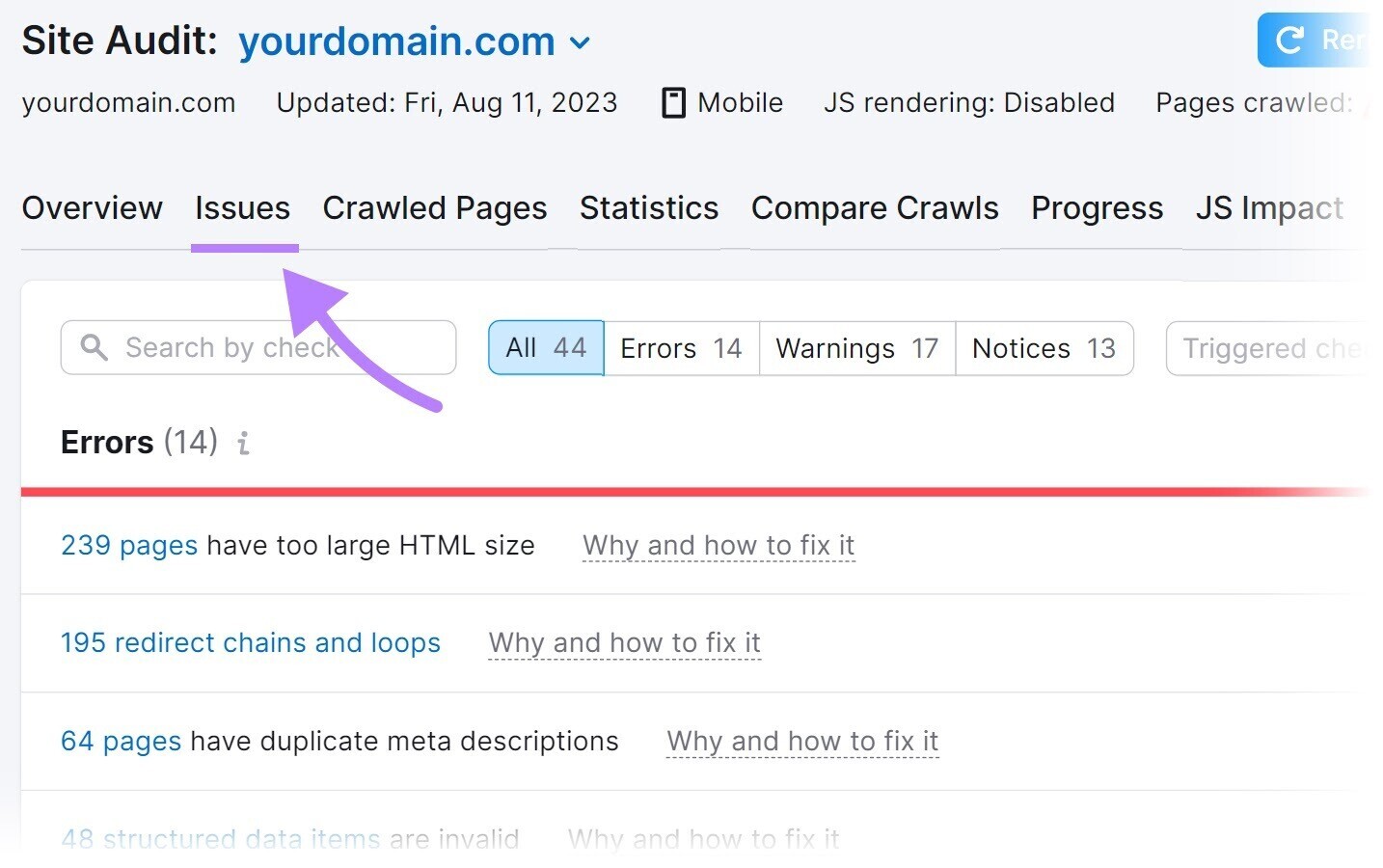 “Issues” tab in the Site Audit tool