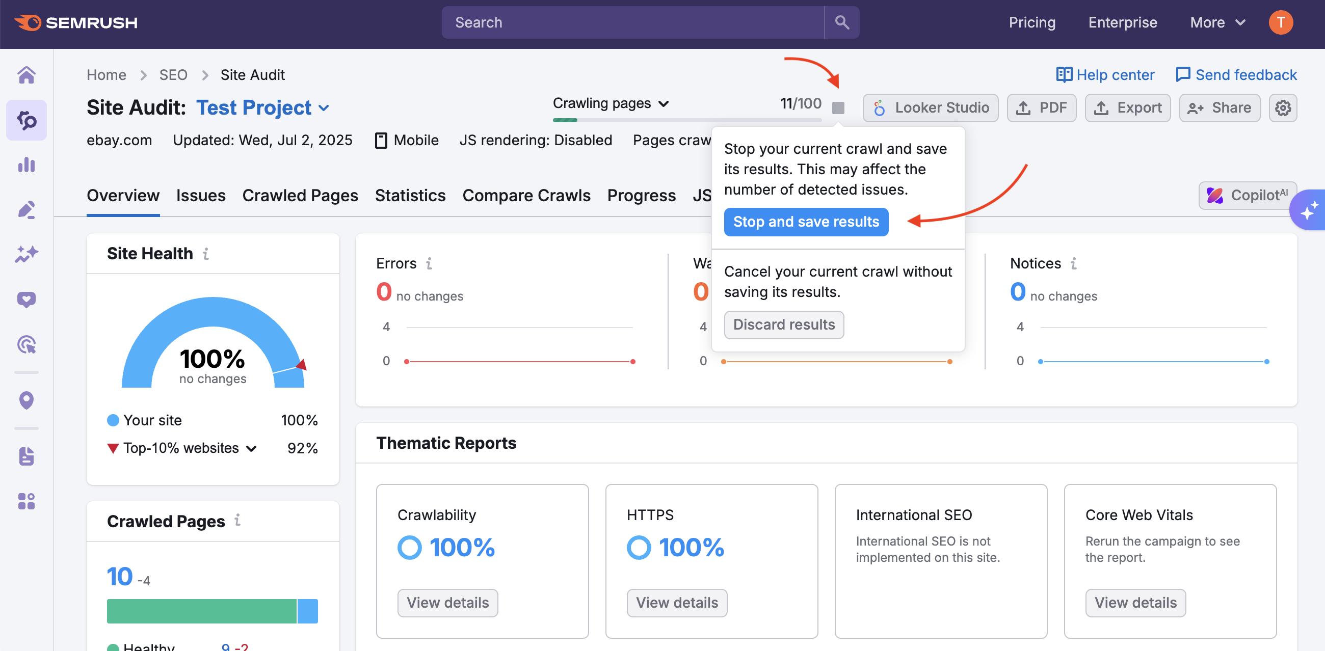 One of the options to stop and save results before the Site Audit is finished.