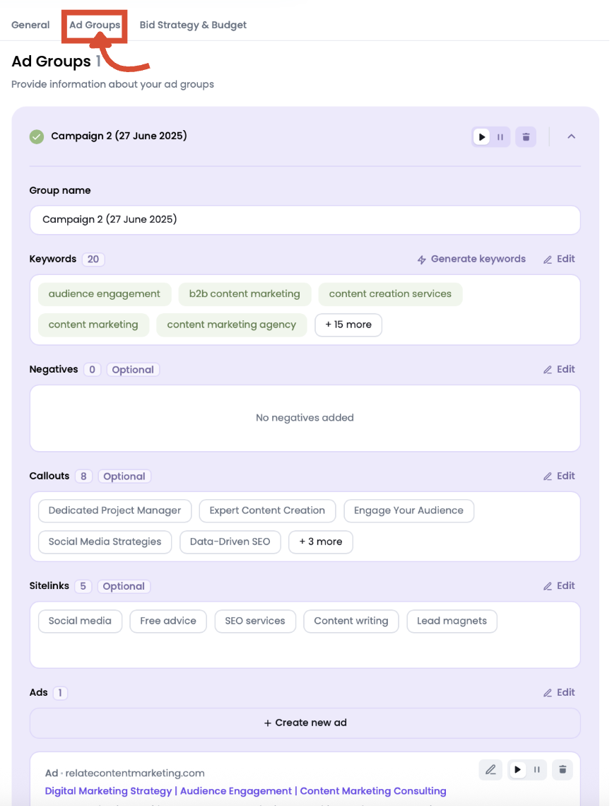 Ad Groups tab in Ads Launch Assistant’s advanced Google campaign options.