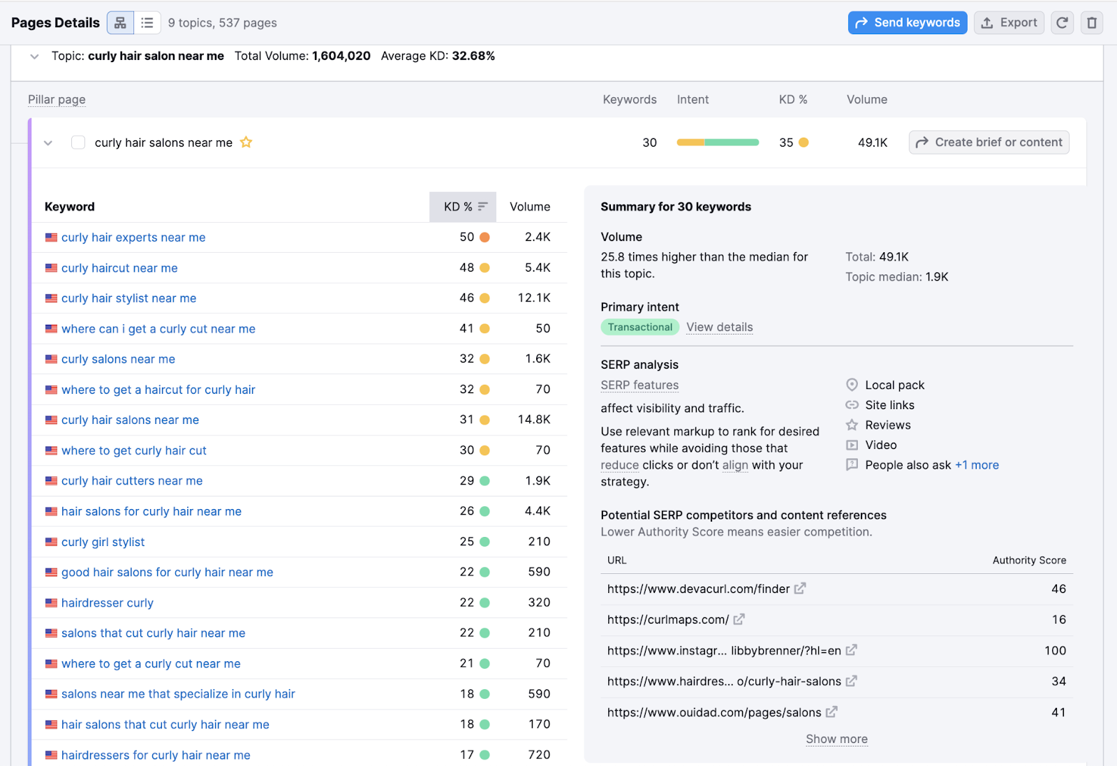 Page Details showing keyword list for curly hair salon topic with SERP analysis and competitor URLs.